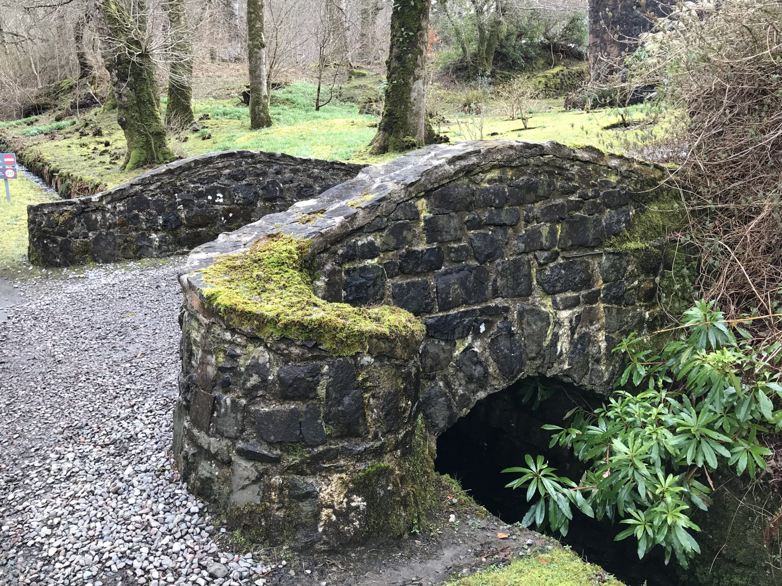 über die Brücke musst du gehen über die Brücke musst du gehen